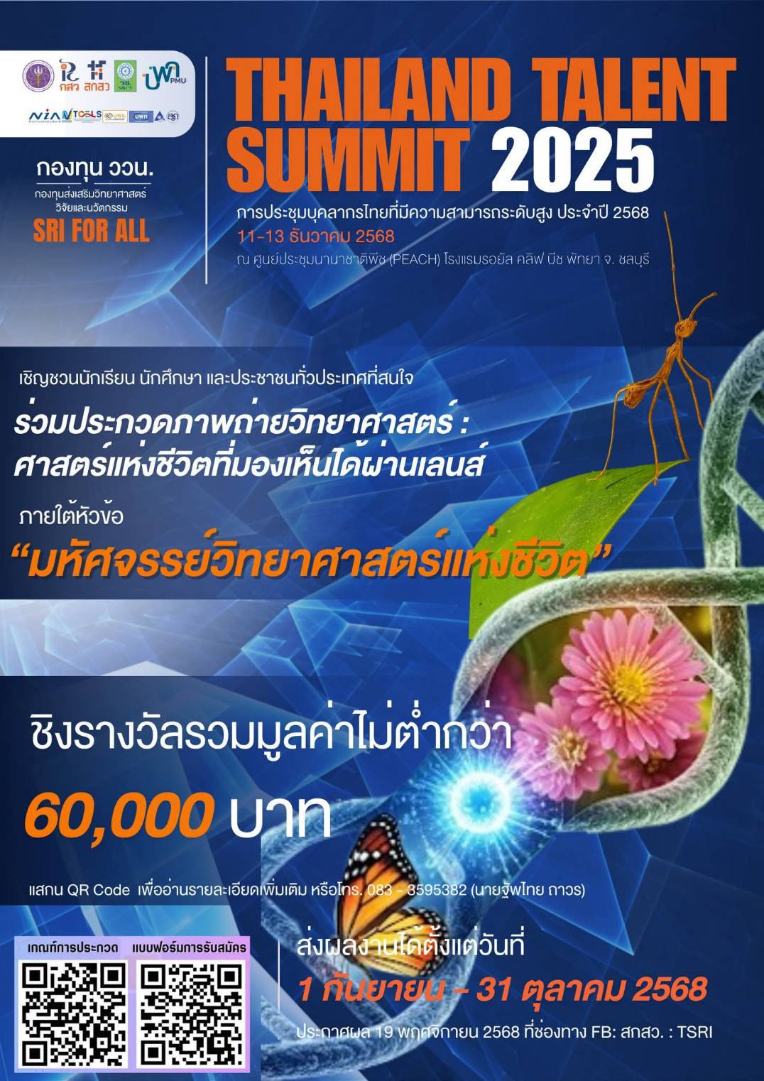 ภาพประกอบเว็บไซต์