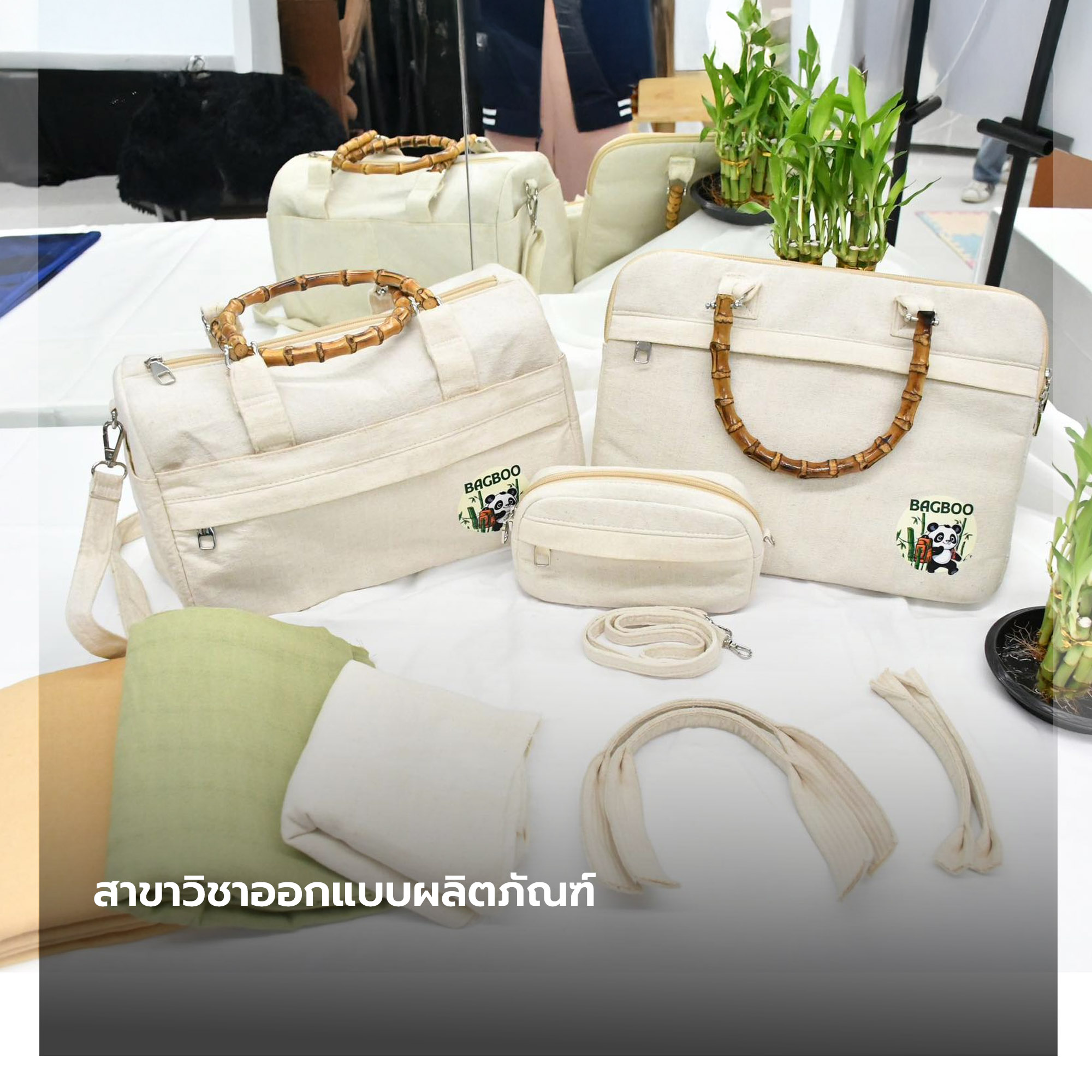ภาพประกอบเว็บไซต์